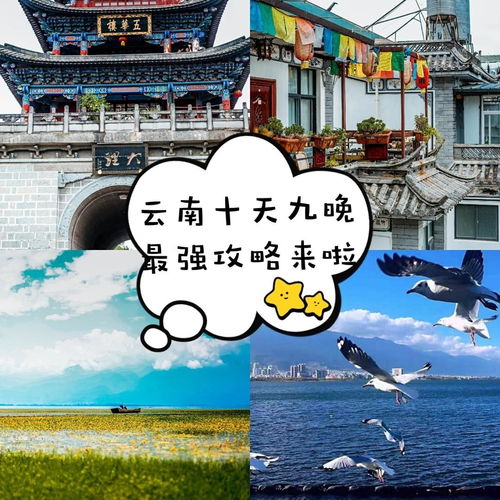 純游彩云間·十天九晚麗江大理完美記,